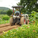 Farmer in tractor driving through rows of plants with scenic hilly background
